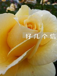 好几个信用卡都逾期