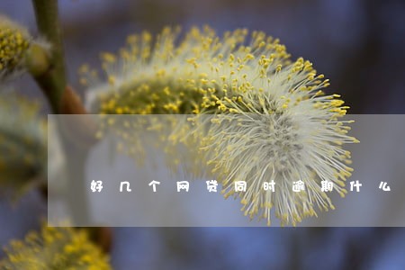 好几个网贷同时逾期什么感觉 好几个网贷同时逾期什么感觉