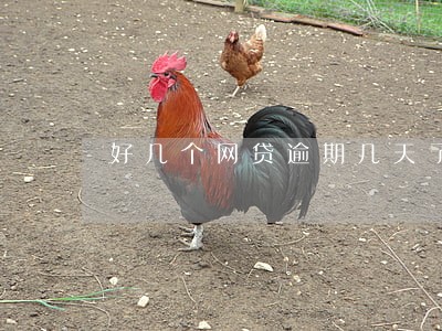 好几个网贷逾期几天了 好几个网贷逾期几天了