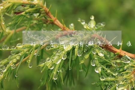 好几个网贷逾期怎么和催收 好几个网贷逾期怎么和催收