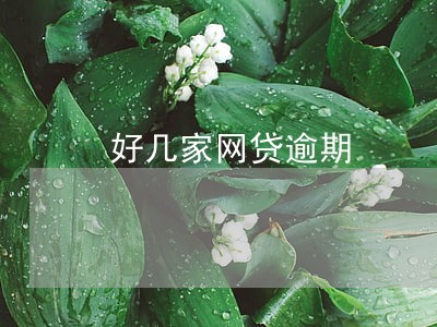 好几家网贷逾期 好几家网贷逾期