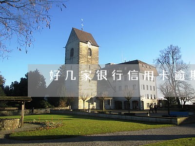 好几家银行信用卡逾期 好几家银行信用卡逾期