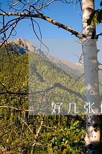 好几张信用卡要逾期了