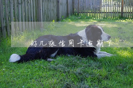 好几张信用卡逾期了 好几张信用卡逾期了