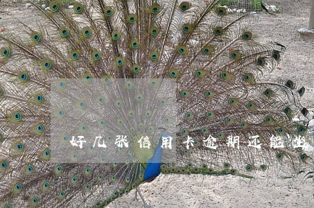 好几张信用卡逾期还能坐高铁吗