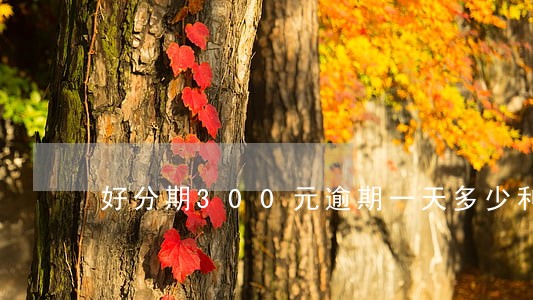 好分期300元逾期一天多少利息 好分期300元逾期一天多少利息