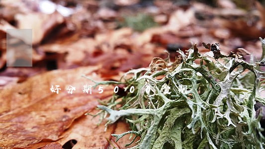 好分期5000逾期 好分期5000逾期