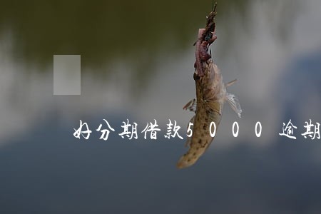 好分期借款5000逾期了 好分期借款5000逾期了