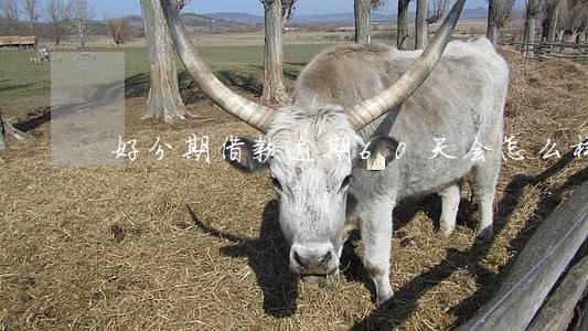 好分期借款逾期60天会怎么样 好分期借款逾期60天会怎么样