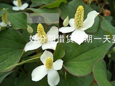 好分期借贷逾期一天要多还51 好分期借贷逾期一天要多还51