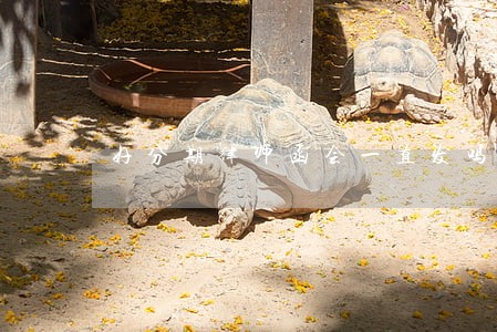 好分期律师函会一直发吗 好分期律师函会一直发吗