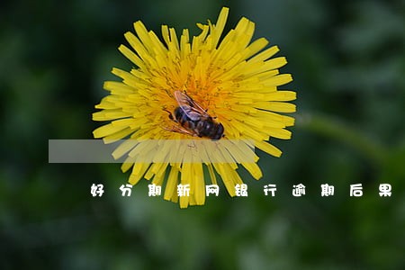 好分期新网银行逾期后果是什么 好分期新网银行逾期后果是什么