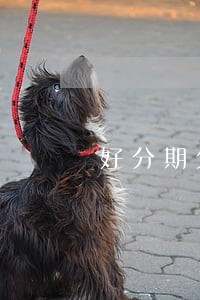 好分期欠款3000元现在逾期 好分期欠款3000元现在逾期