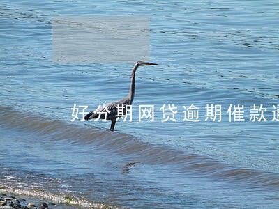 好分期网贷逾期催款通告函