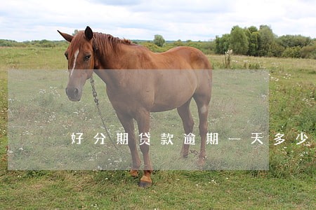 好分期贷款逾期一天多少钱 好分期贷款逾期一天多少钱