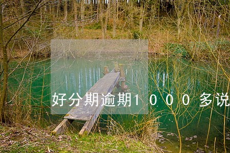 好分期逾期1000多说要上门 好分期逾期1000多说要上门