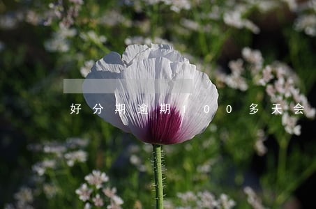 好分期逾期100多天会怎样 好分期逾期100多天会怎样