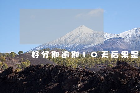 好分期逾期10天后果是什么