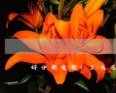 好分期逾期12天冻结 好分期逾期12天冻结