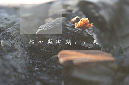 好分期逾期14天 好分期逾期14天