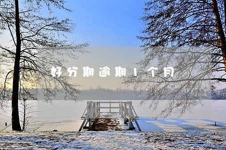 好分期逾期1个月