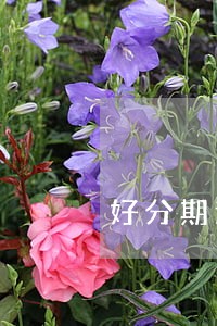 好分期逾期1天要求全额还款 好分期逾期1天要求全额还款