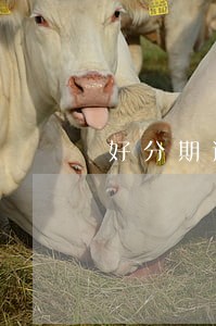 好分期逾期2000会立案吗 好分期逾期2000会立案吗