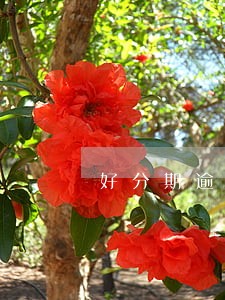 好分期逾期3000一年未还 好分期逾期3000一年未还