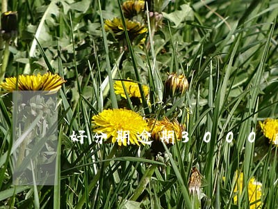 好分期逾期3000后果 好分期逾期3000后果