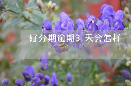 好分期逾期3天会怎样 好分期逾期3天会怎样