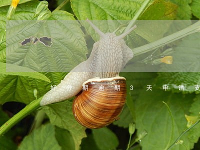 好分期逾期3天申请支付令 好分期逾期3天申请支付令