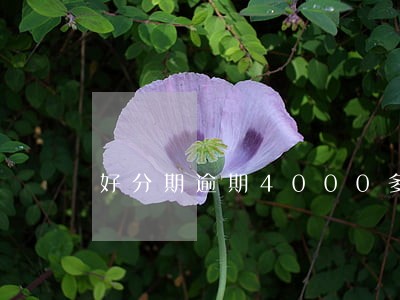 好分期逾期4000多元会立案