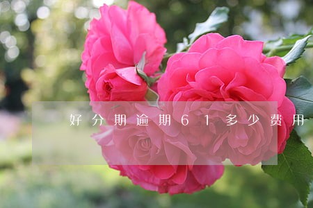 好分期逾期61多少费用 好分期逾期61多少费用