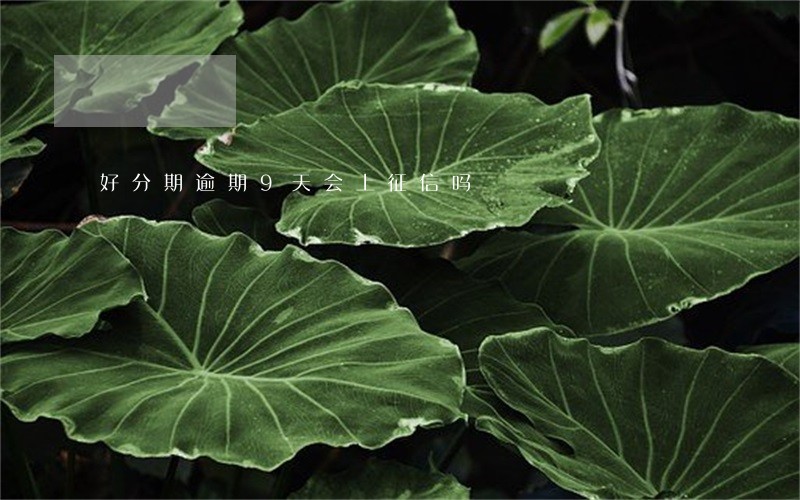 好分期逾期9天会上征信吗 好分期逾期9天会上征信吗