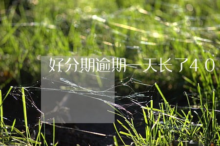 好分期逾期一天长了40违约金 好分期逾期一天长了40违约金