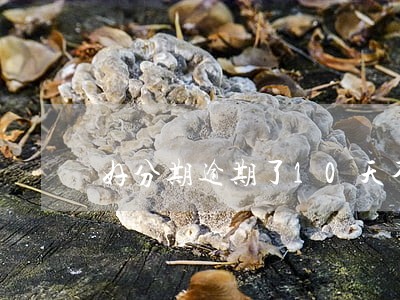 好分期逾期了10天不接电话 好分期逾期了10天不接电话
