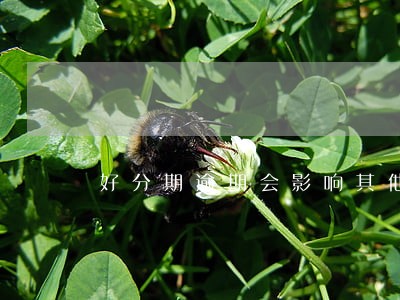 好分期逾期会影响其他网贷吗 好分期逾期会影响其他网贷吗