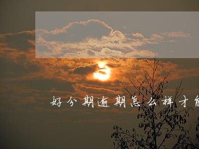 好分期逾期怎么样才能只还本金 好分期逾期怎么样才能只还本金
