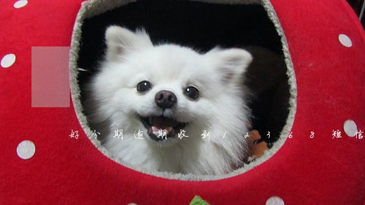 好分期逾期收到12368短信 好分期逾期收到12368短信