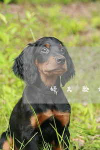 好友验证为什么信用卡逾期 好友验证为什么信用卡逾期