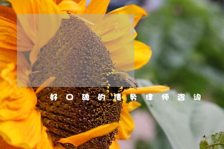 好口碑的债务律师咨询 好口碑的债务律师咨询