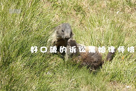 好口碑的诉讼离婚律师排行 好口碑的诉讼离婚律师排行