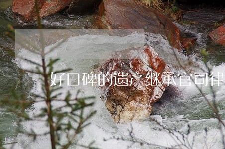 好口碑的遗产继承官司律师价格 好口碑的遗产继承官司律师价格