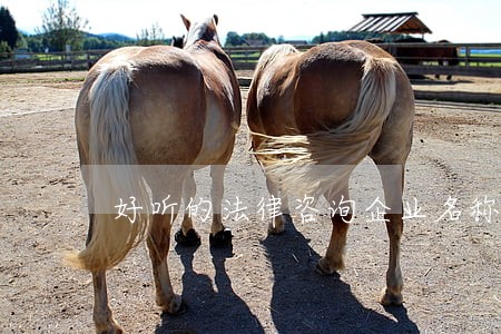 好听的法律咨询企业名称 好听的法律咨询企业名称