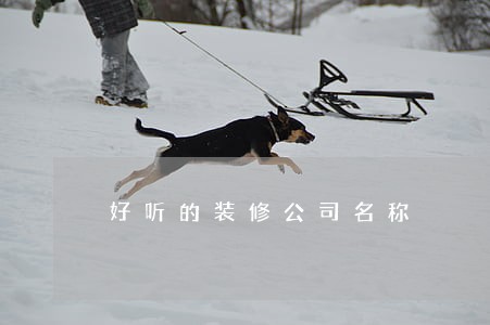 好听的装修公司名称 好听的装修公司名称