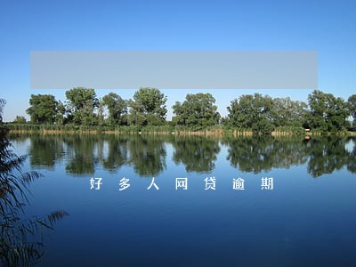 好多人网贷逾期 好多人网贷逾期