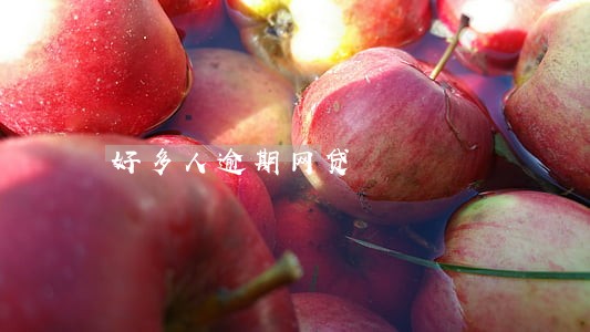 好多人逾期网贷 好多人逾期网贷
