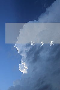 好多家网贷逾期