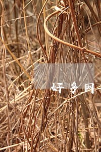 好多网贷信用卡连续逾期三个月 好多网贷信用卡连续逾期三个月