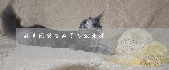 好多网贷逾期了怎么处理 好多网贷逾期了怎么处理